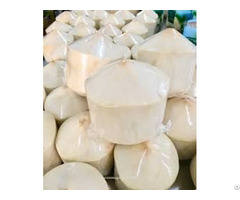 Good Quality Frozen Coconut Meat With The Best Price