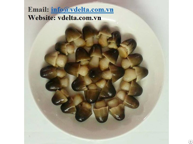 Straw Mushroom From Vietnam