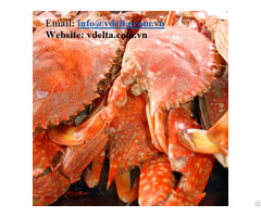 Dried Crab Shell Wholesales