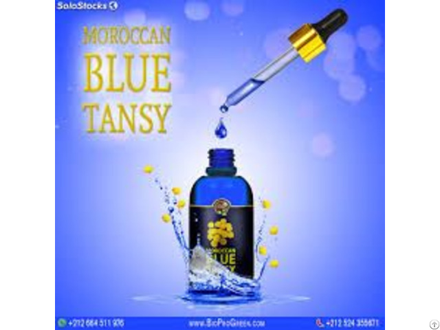 Blue Tansy Essential Oil