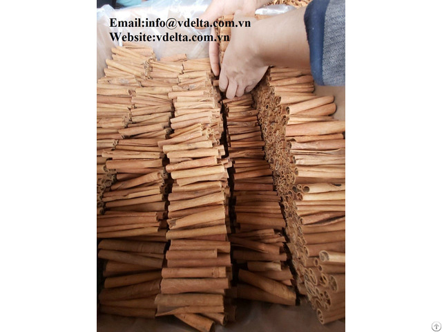 Cinnamon Best Price From Vietnam