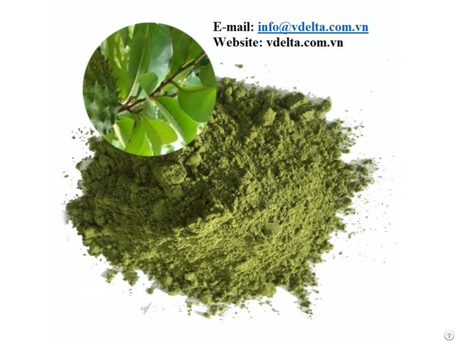 100 Percent Pure Soursop Leaves Powder