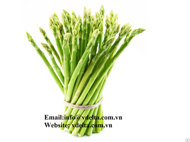 Supply Fresh Green Asparagus In Vietnam