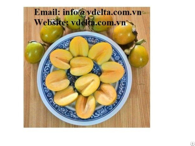 Fresh Persimmon Fruits From Vietnam