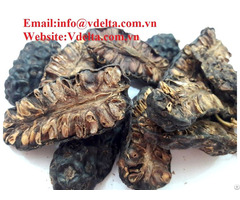 Natural Dried Noni From Viet Nam