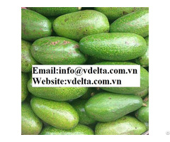 High Quality Frozen Avocado From Viet Nam