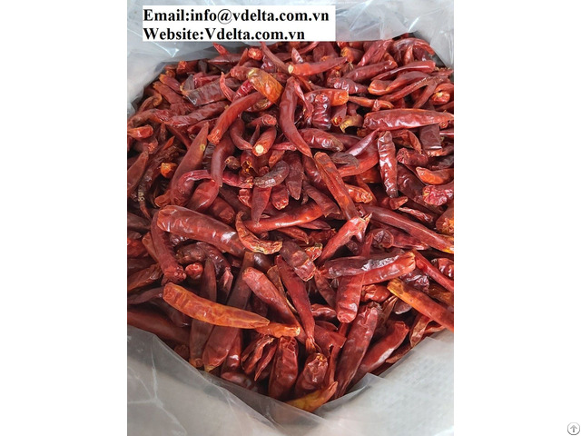 High Quality Dried Chilli From Viet Nam