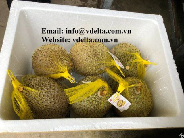 Frozen Durian 100 Percent Natural From Vietnam