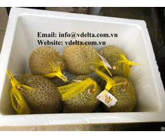 Frozen Durian 100 Percent Natural From Vietnam