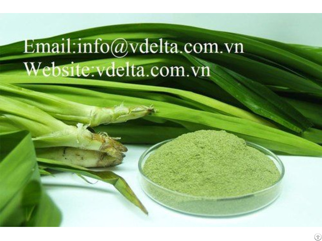 Pandan Leaf Powder From Vietnam