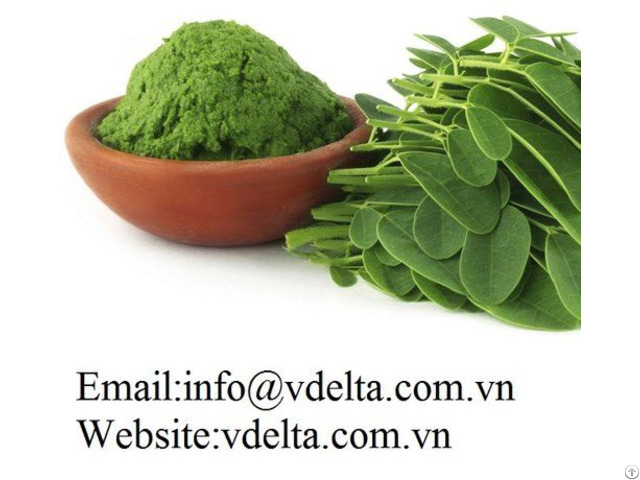 Bulk Moringa Oleifera Powder