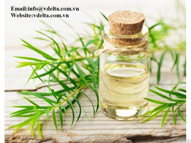 Tea Tree Oil