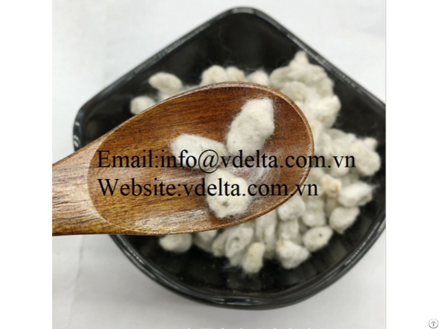 Cotton Seed For Animal Feed From Vietnam