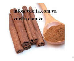 Cinnamon Stick From Vietnam