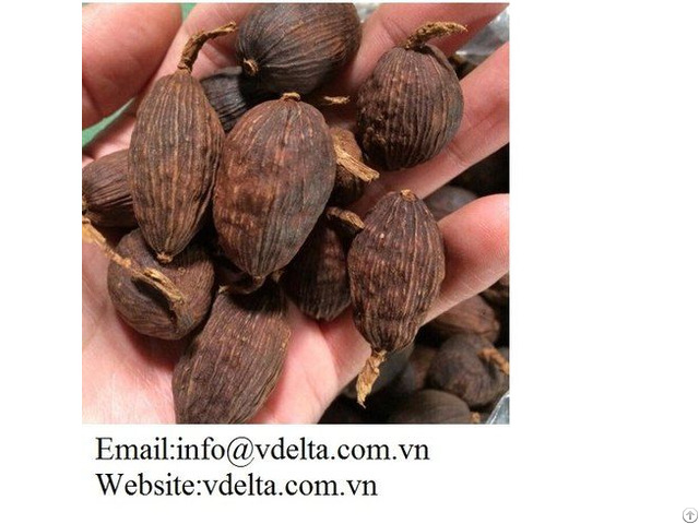 Black Cardamom Vdelta