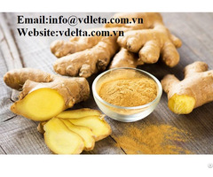 High Quality Ginger Powder Viet Nam Best Prices