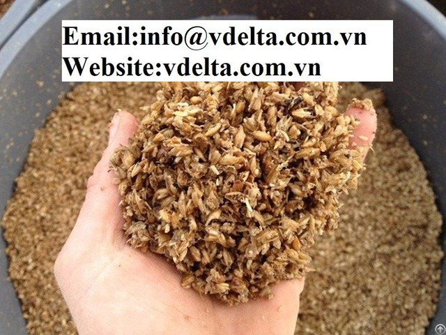 Beer Residue For Animal Feed From Vietnam