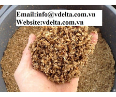Beer Residue For Animal Feed From Vietnam