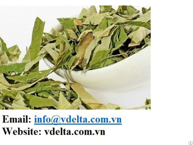 Hight Quality Lotus Tea