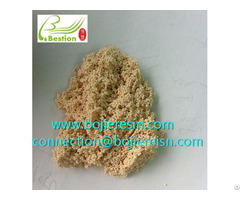 Smilax China Saponin Extraction Resin