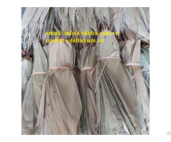 High Quality Bamboo Leaves From Viet Nam