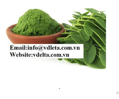 Organic Natural Moringa Leaf Powder Viet Nam