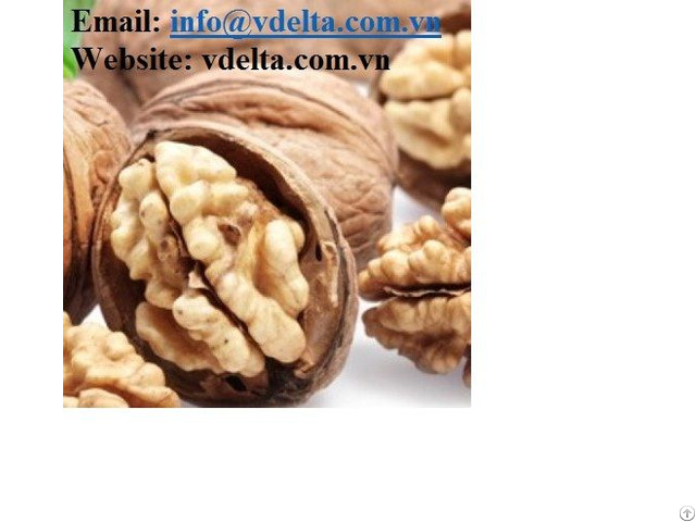 Walnut Vietnam Good