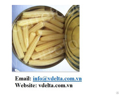 Canned Baby Corn In Brine From Vietnam