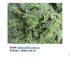 Dried Green Seaweed Powder
