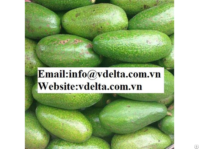 High Quality Frozen Avocado Viet Nam Good Price