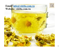100 Percent Natural Chrysanthemum For Tea Best Price