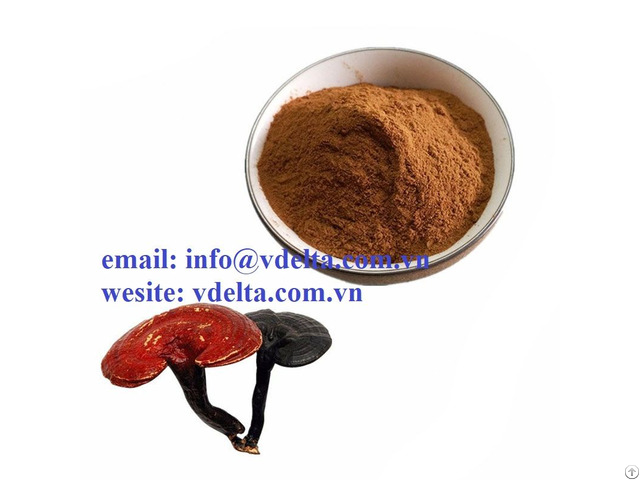 Good Quality Ganoderma Lucidum From Viet Nam