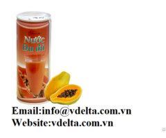 Viet Nam High Quality Canned Papaya Juice