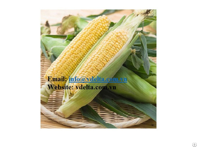 Corn Frozen Sweet Natural Taste