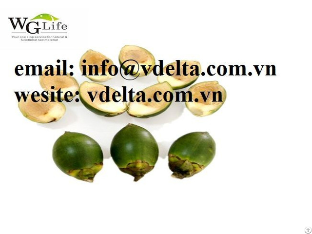 Fresh Green Nut With High Quality From Vietnam