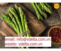 High Quality Asparagus In Vietnam