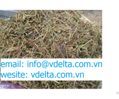 Dried Leaf Passionflower From Viet Nam