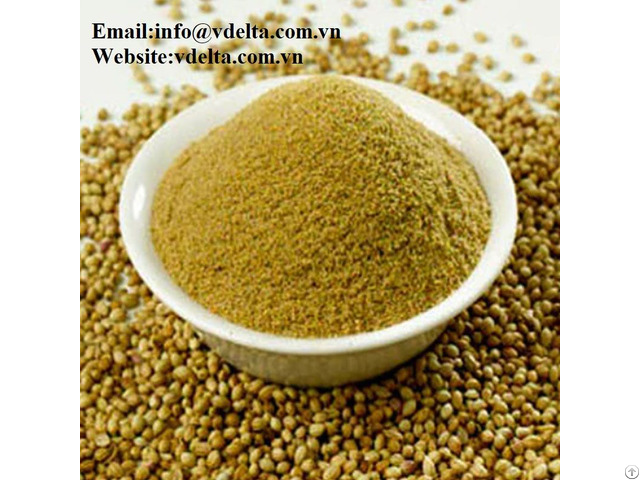 Natural Coriander Powder Best Price