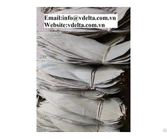 Dried Bamboo Leaves From Viet Nam Best Price