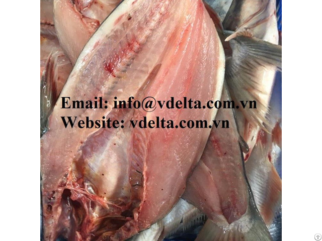 Frozen Butterfly Cut Basa Fish