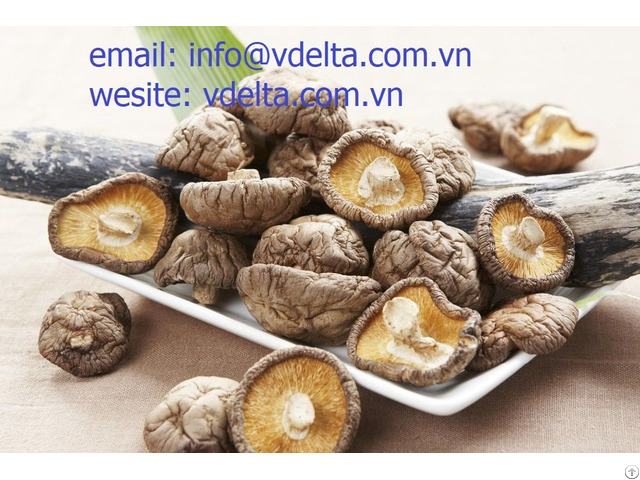 Dried Cordyceps Herbs From Viet Nam