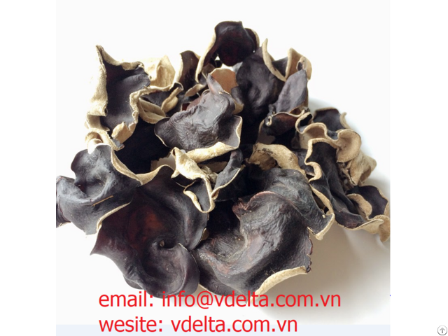 Dry Wood Mushroom Ear From Viet Nam