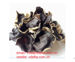 Dry Wood Mushroom Ear From Viet Nam