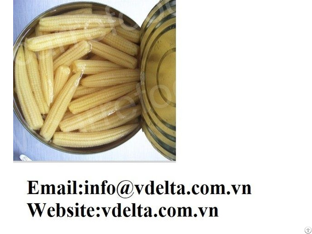 Viet Nam High Quality Canned Baby Corn