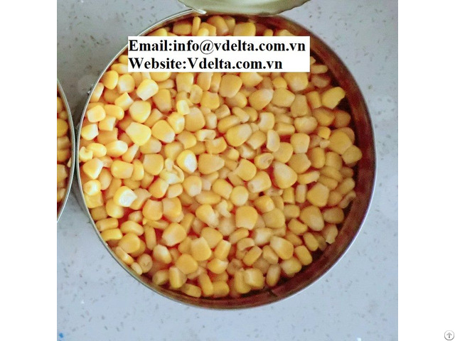 Viet Nam High Quality Canned Sweet Corn