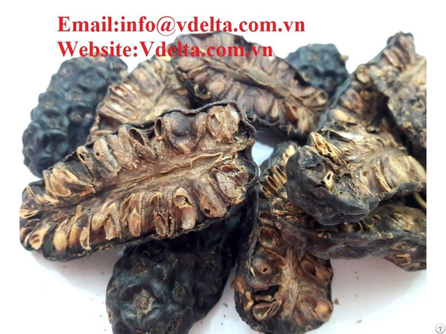 Viet Nam Dried Noni With The Cheap Price