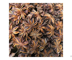 Whole Star Anise Aniseed