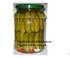 Viet Nam High Quality Canned Pickled Baby Cucumber