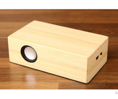 Bamboo Creative Gift Induction Speaker