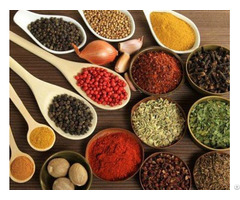 Herbs Aromatic And Medical Plants Spices Seeds